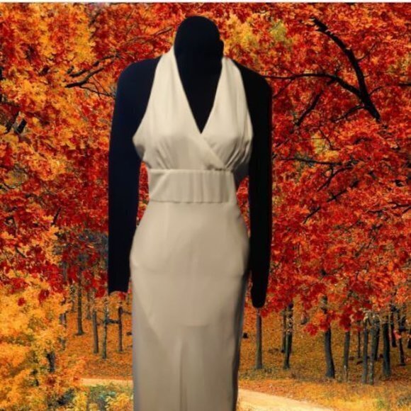 Silk Halter Gown by Chadwick's of Boston * - Picture 1 of 8